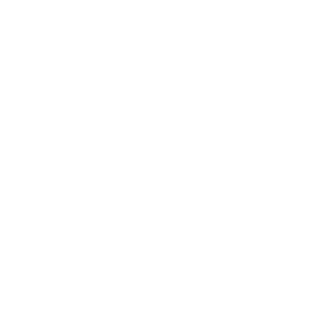 Logo Wided blanc